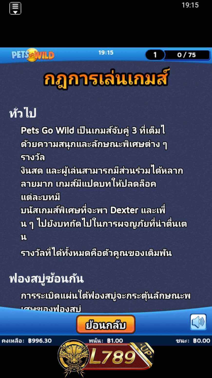 ตัวอย่างเกม Pets Go Wild 2